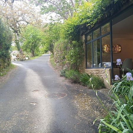 Chambre Du Sabotier - Studio Troglodytique - A 100 M Baignade En Riviere - Location De Canoe - Circuits Cyclo - Aire De Pique-Nique - 3 Restaurants Castelnaud La Chapelle Ngoại thất bức ảnh