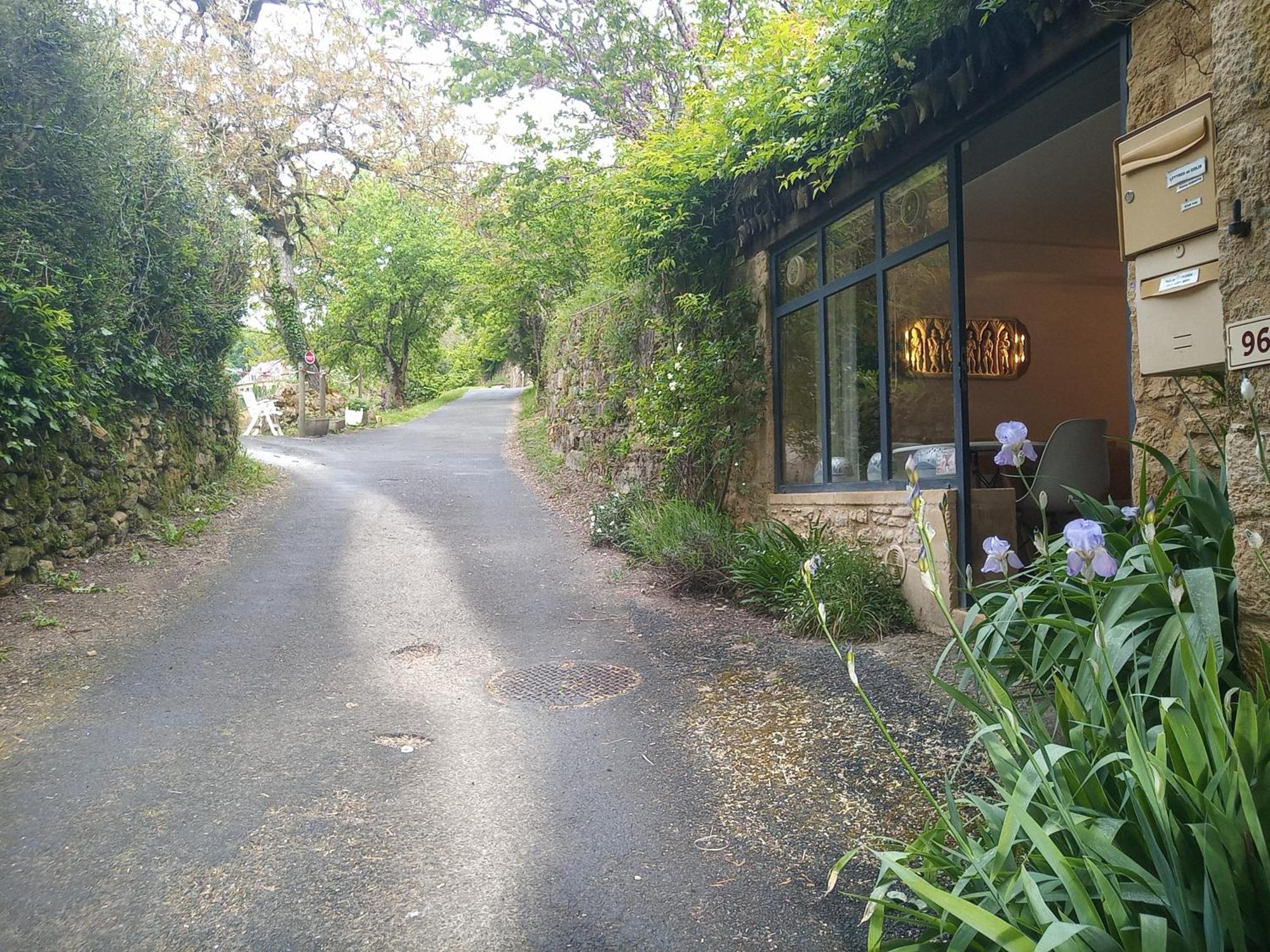 Chambre Du Sabotier - Studio Troglodytique - A 100 M Baignade En Riviere - Location De Canoe - Circuits Cyclo - Aire De Pique-Nique - 3 Restaurants Castelnaud La Chapelle Ngoại thất bức ảnh